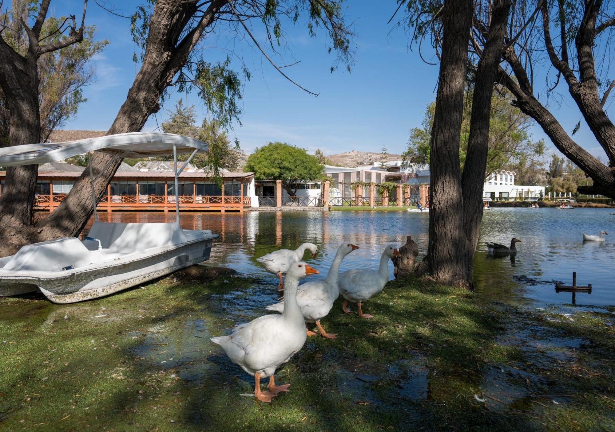 Bth Hotel Arequipa Lake Exterior photo